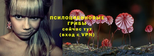 скорость Кукмор